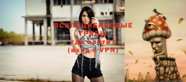 прущие крисы Богородицк