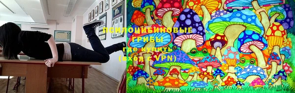 прущая мука Богородск